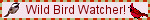birdwatcher2