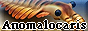 anomalocaris