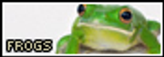 frogs