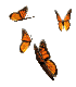 butterflycluster