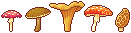 fungi pixel art divider