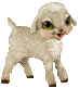 leftlamb