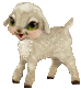 righttlamb