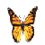 monarch