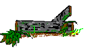 mushroom log