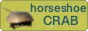 horseshoecrab
