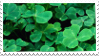 clovers