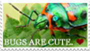 cute bugs