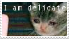 i'm delicate