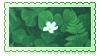 white flower amongst green leaves