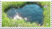 heartpond