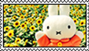 miffy