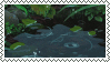 raindrops